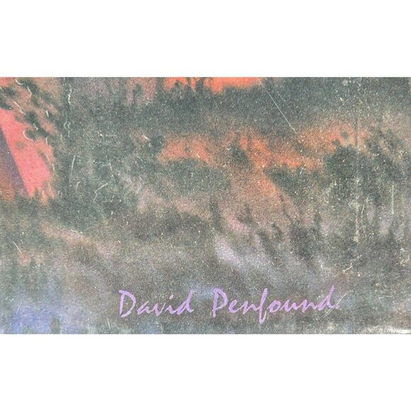 Leanin' Tree Native American DREAM CATCHER Art Print Poster 16x20 David Penfound - Picture 4 of 5